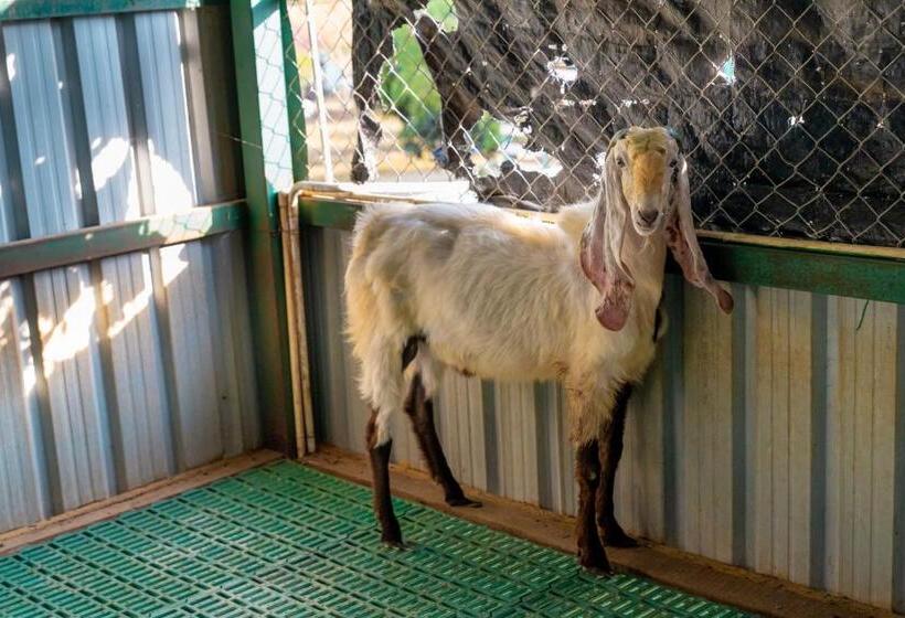 בית מלון כפרי Abhishta Agri Farm Stay