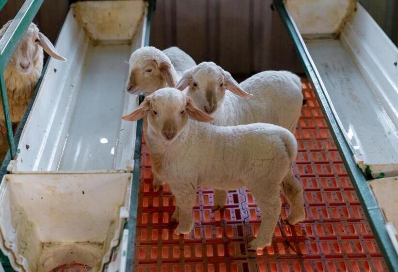 בית מלון כפרי Abhishta Agri Farm Stay