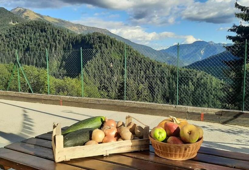 酒店 Albergo Bar Ristorante Da Gina