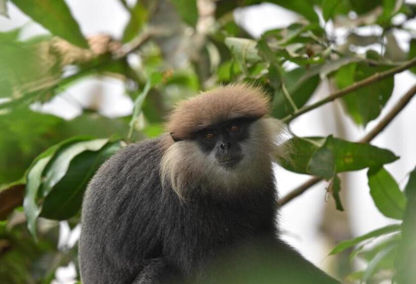 ホテル Andy Homestay Units