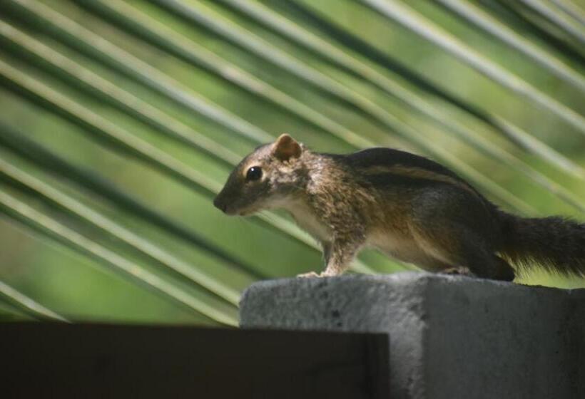 ホテル Andy Homestay Units