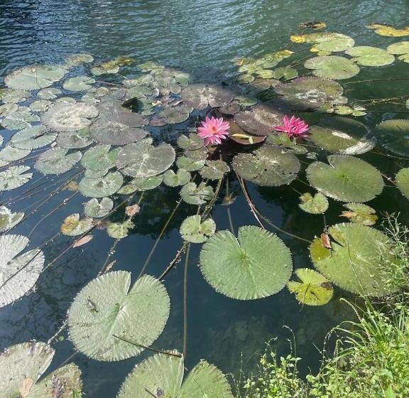 酒店 Aulaviva Tropical