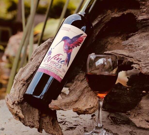 酒店 Aulaviva Tropical