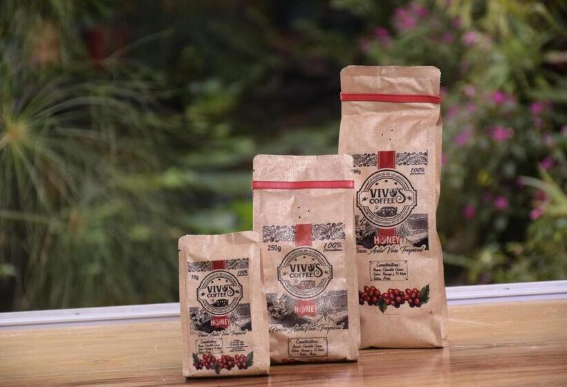 酒店 Aulaviva Tropical