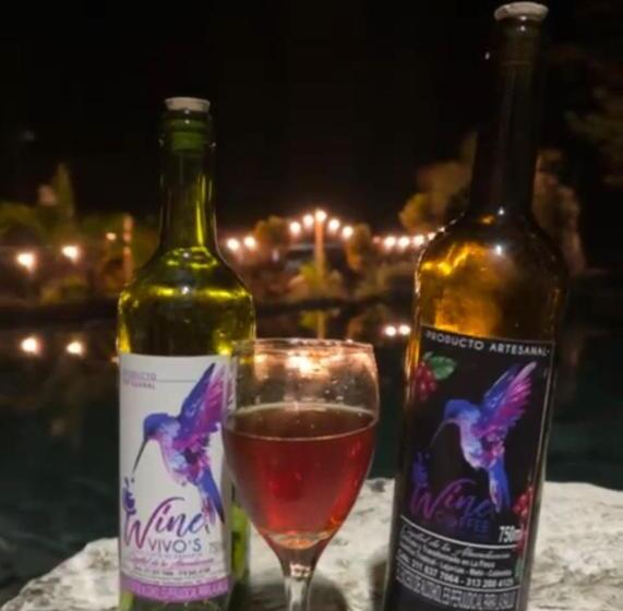 酒店 Aulaviva Tropical