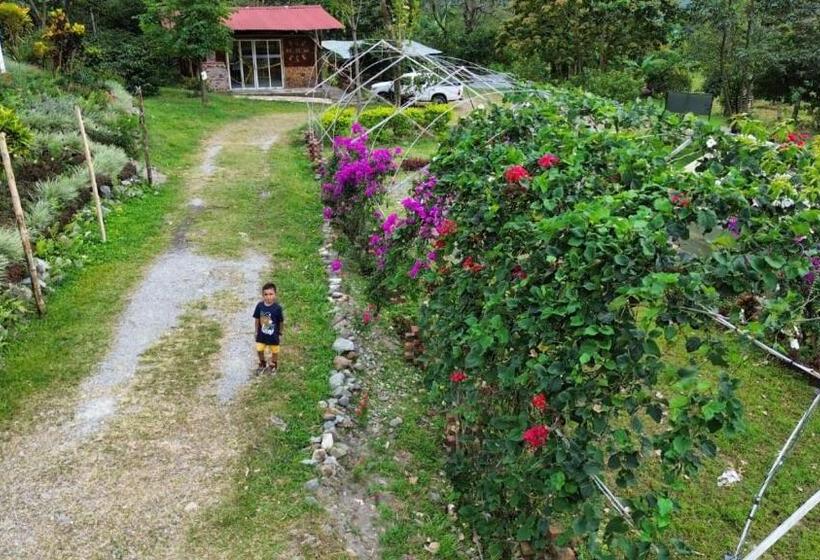 酒店 Aulaviva Tropical