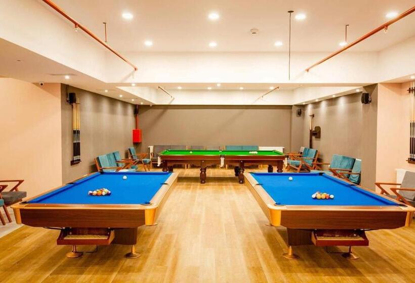 هتل Bakuriani Inn A112