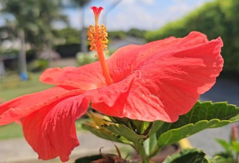 Отель Cabañas Cafeteras Cerritos