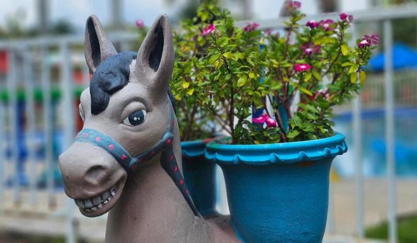 Отель Cabañas Cafeteras Cerritos