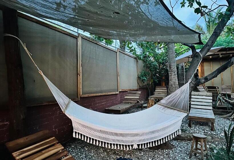 هتل Punta Nayaá Adults Only