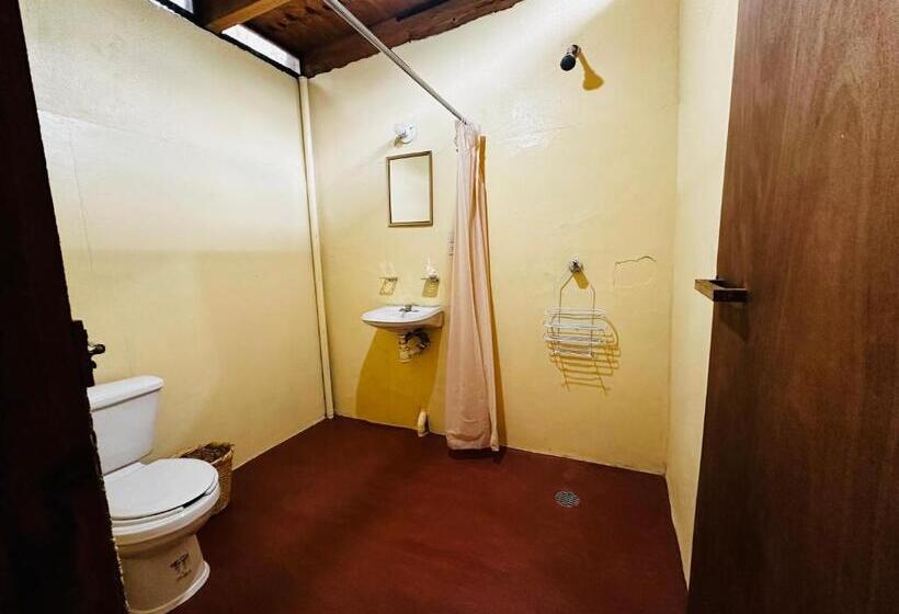 هتل Punta Nayaá Adults Only