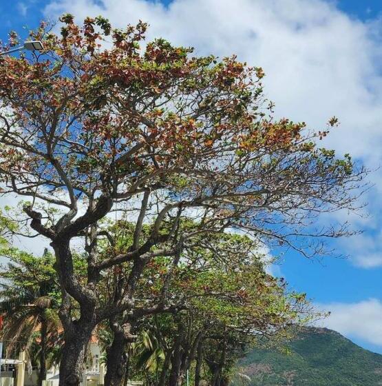 هتل Côn đảo Xanh