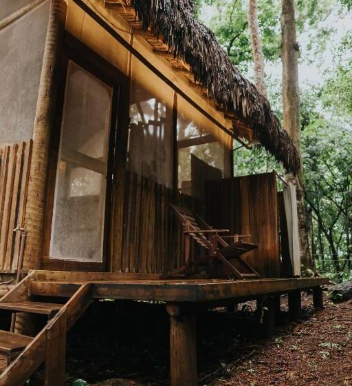 Отель Ecoaraguaia Jungle Lodge