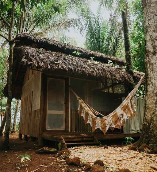 Отель Ecoaraguaia Jungle Lodge