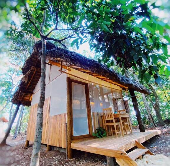 Отель Ecoaraguaia Jungle Lodge