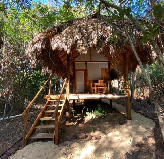 Отель Ecoaraguaia Jungle Lodge