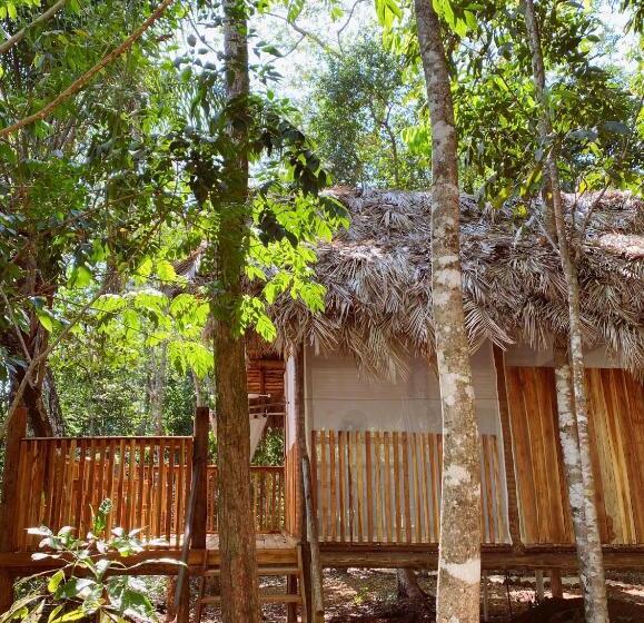 Отель Ecoaraguaia Jungle Lodge