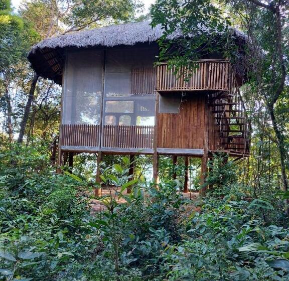 Отель Ecoaraguaia Jungle Lodge