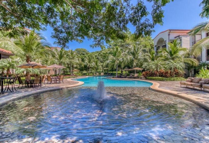 酒店 Pacifico L801