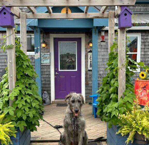 בית מלון כפרי Ravens Rest Retreat