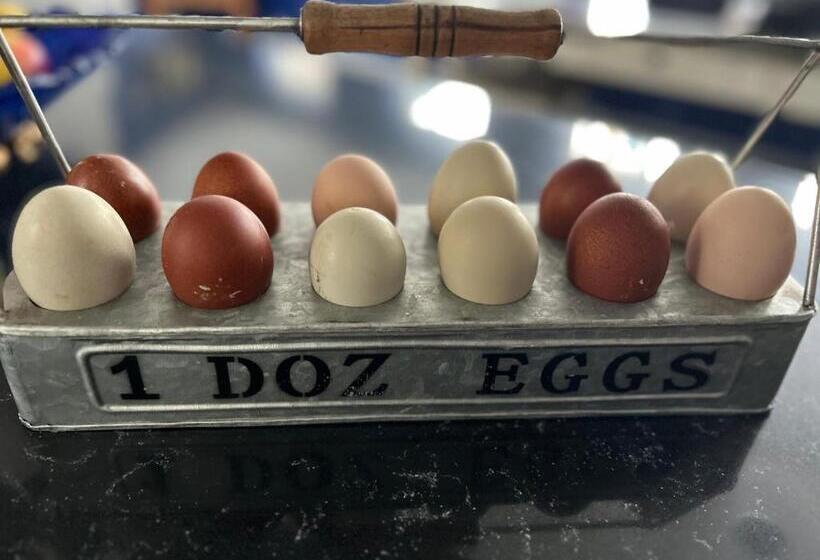 בית מלון כפרי Ravens Rest Retreat