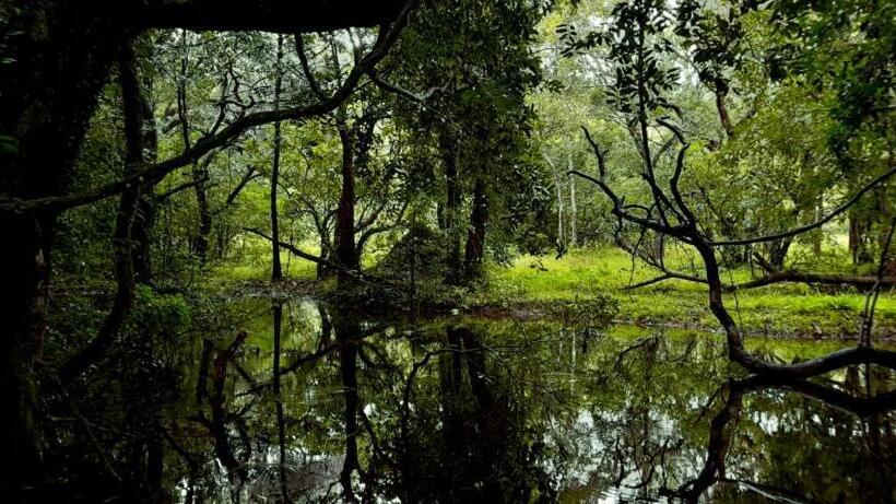 فندق Sigiri Vananthara