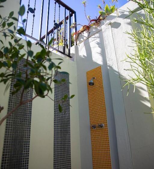 بنسيون Ami Vine House