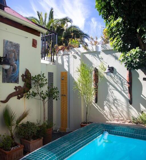 بنسيون Ami Vine House