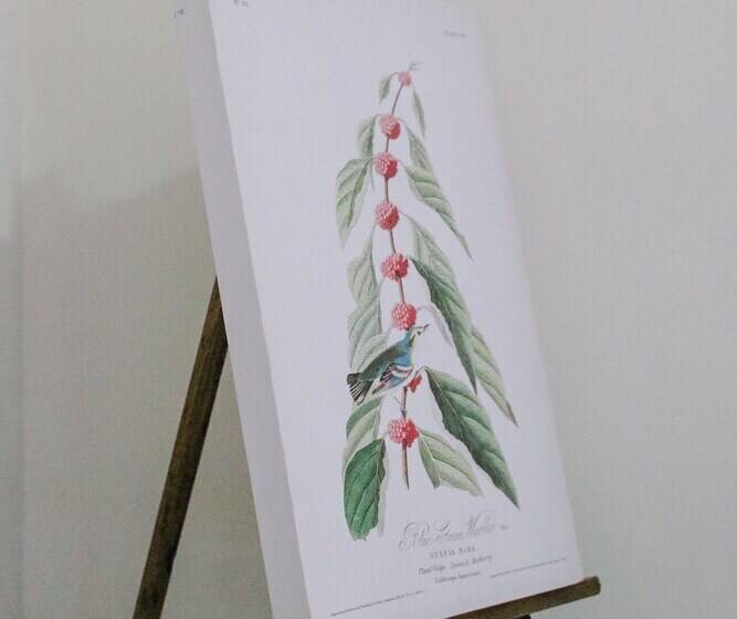 پانسیون Anda Nomad Hostel Oaxaca