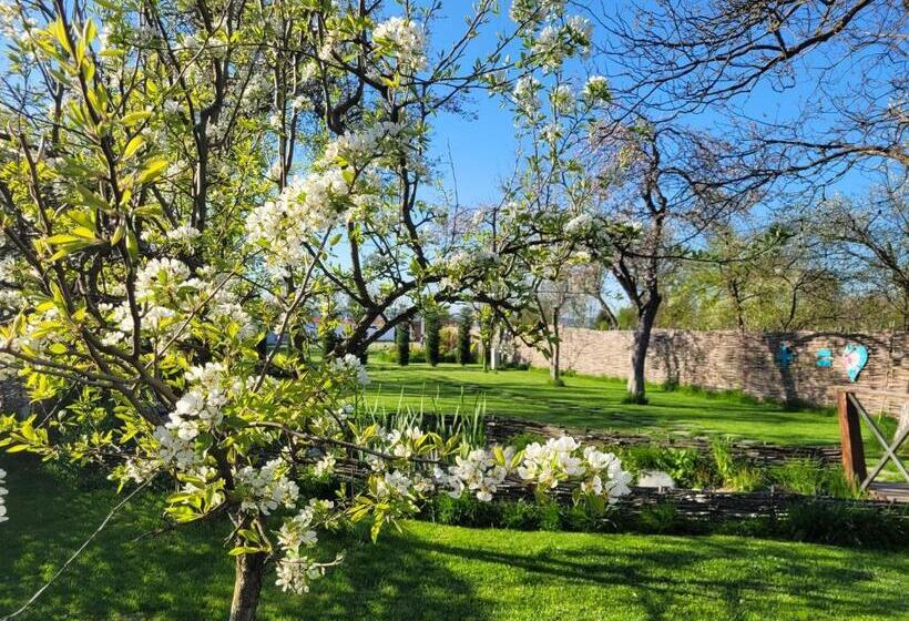 Пансион Casuta Cu Mar De La Joyard