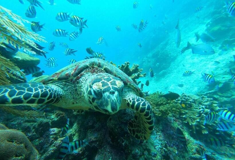 Пансион Hilda Guest House