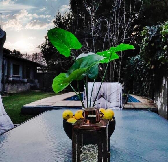 بنسيون Leana Hub Guest House