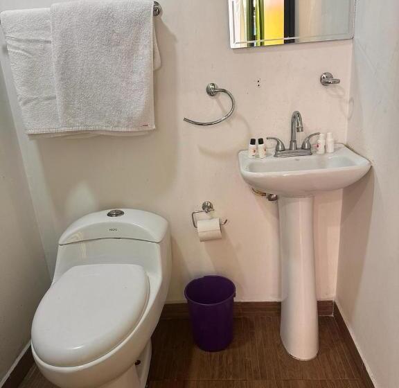 بنسيون Patio Hangar Toluca Aeropuerto