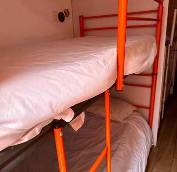 膳宿费 Patio Hangar Toluca Aeropuerto