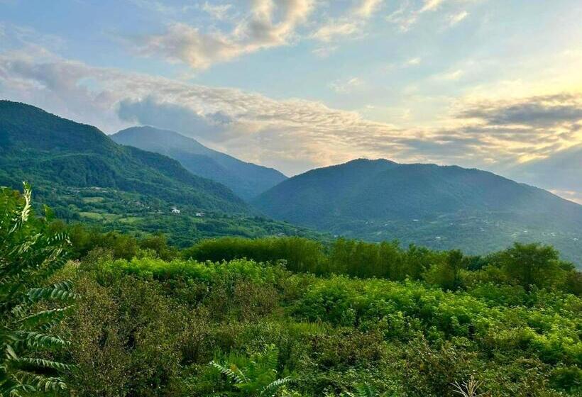 پانسیون House & Wine