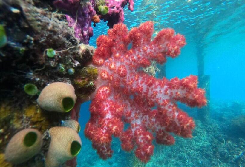 پانسیون Private Island Guest House