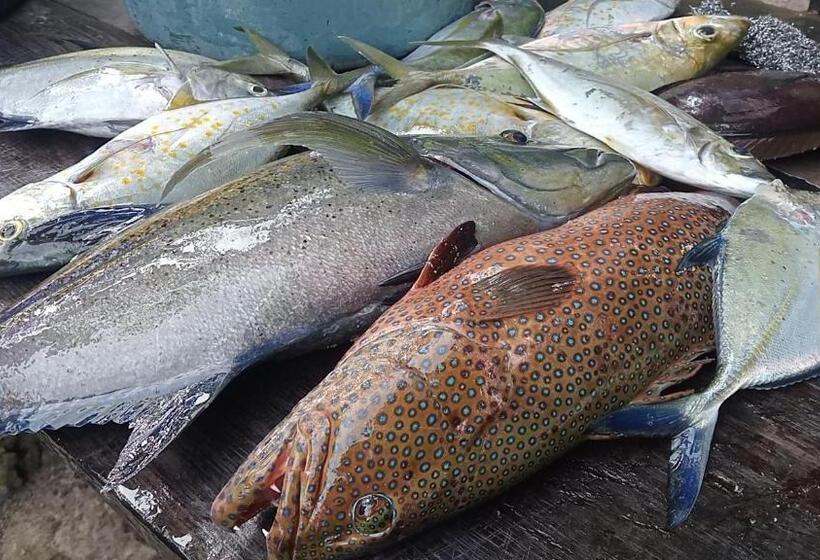 پانسیون Private Island Guest House