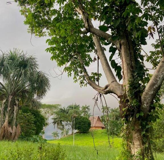 פנסיון Reserva Indígena Maguare