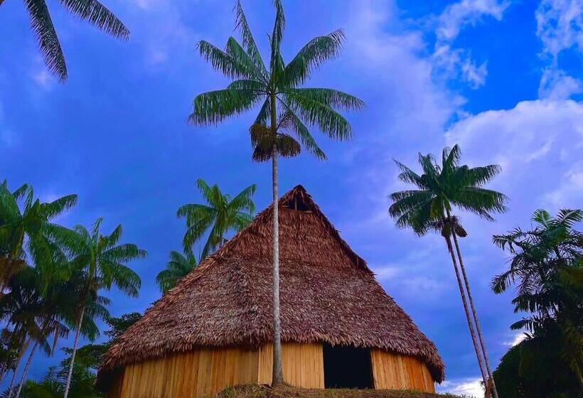 פנסיון Reserva Indígena Maguare