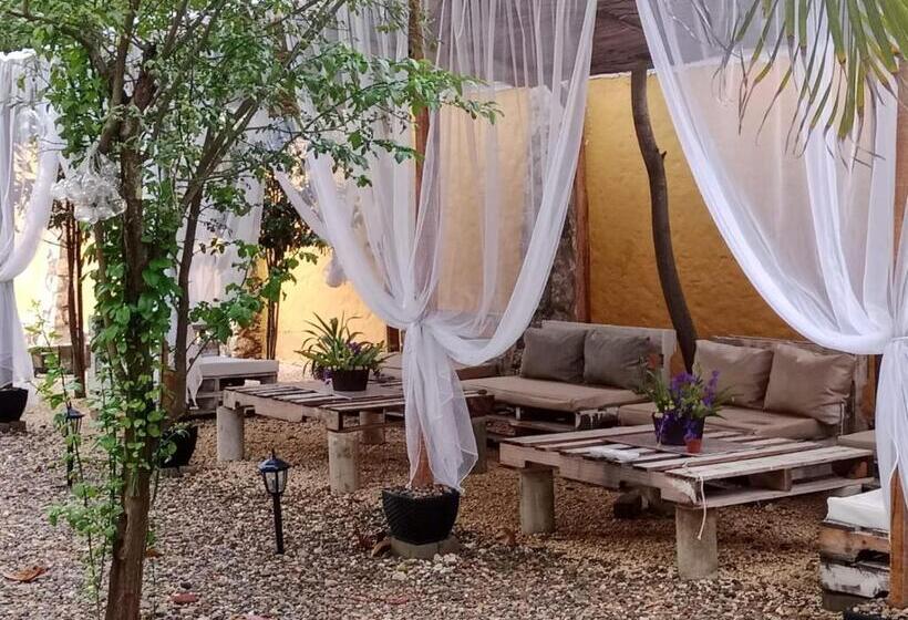 بنسيون Villa Mohana