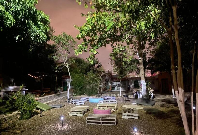 بنسيون Villa Mohana