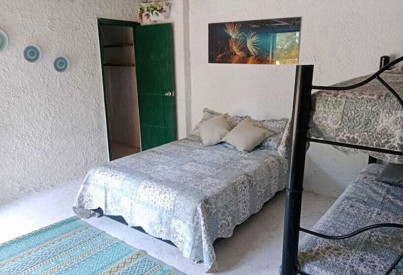 بنسيون Villa Mohana