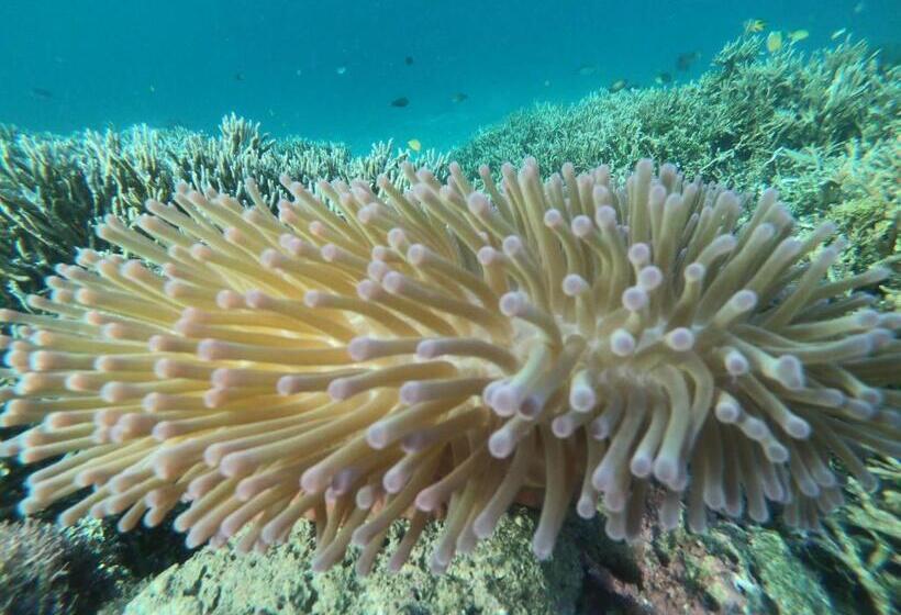 Пансион Yef Kabu Guest House