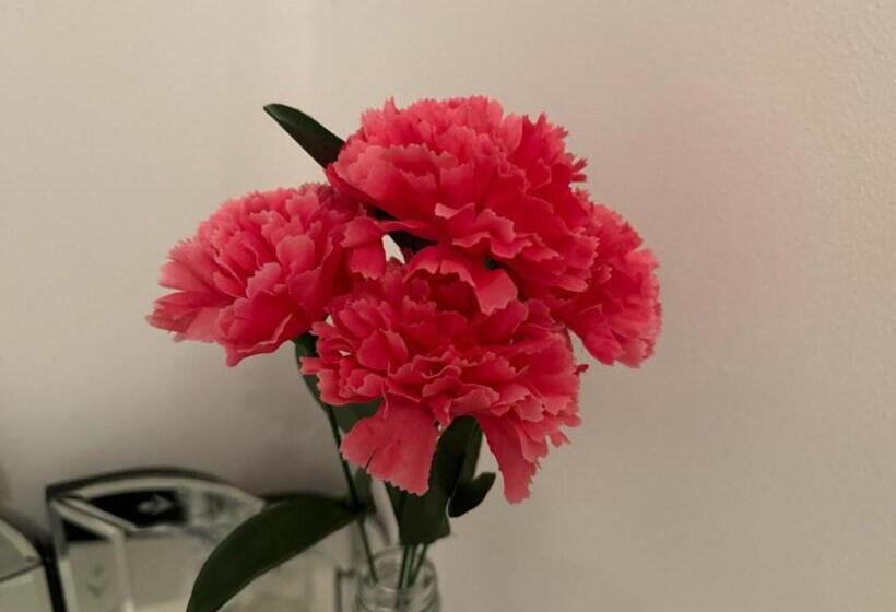 Prince Apartment Inn