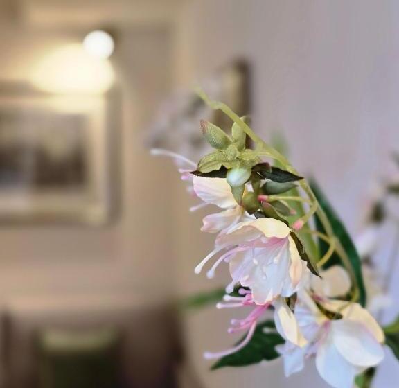 Residence Internazionale