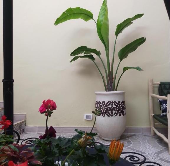 Riad Bouganville Bleu