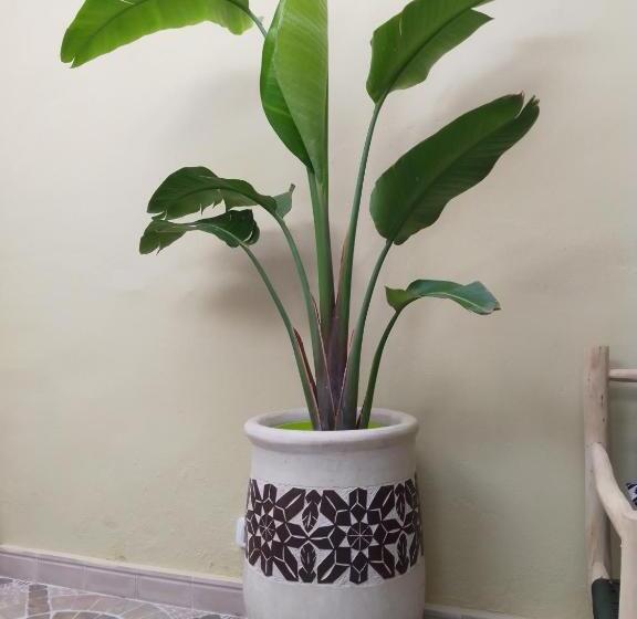 Riad Bouganville Bleu