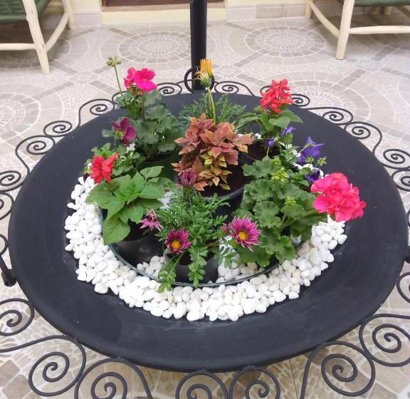 Riad Bouganville Bleu