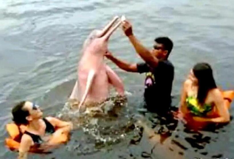 Tropical Executive Hotel Apt 606