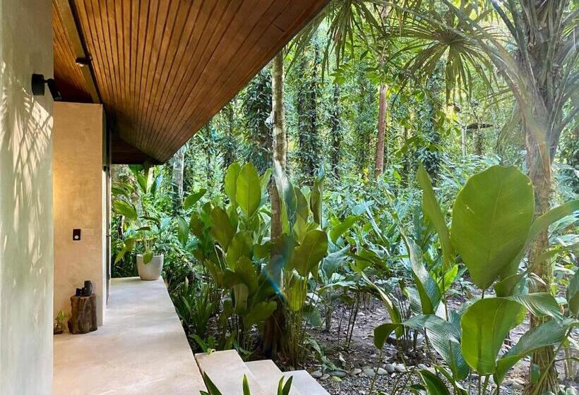 住宿加早餐  Aire